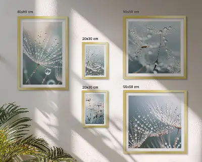 Wandbilder-Set minimalistische Pflanzen mit Tautropfen