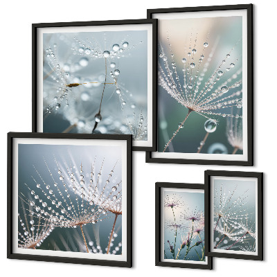 Bildergalerie-set für die wand Tautropfen minimalistische Pflanzen