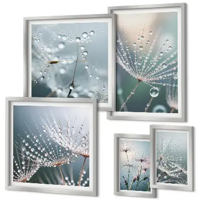 Wandbilder-Set minimalistische Pflanzen mit Tautropfen