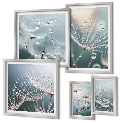 Bildergalerie-set für die wand Tautropfen minimalistische Pflanzen