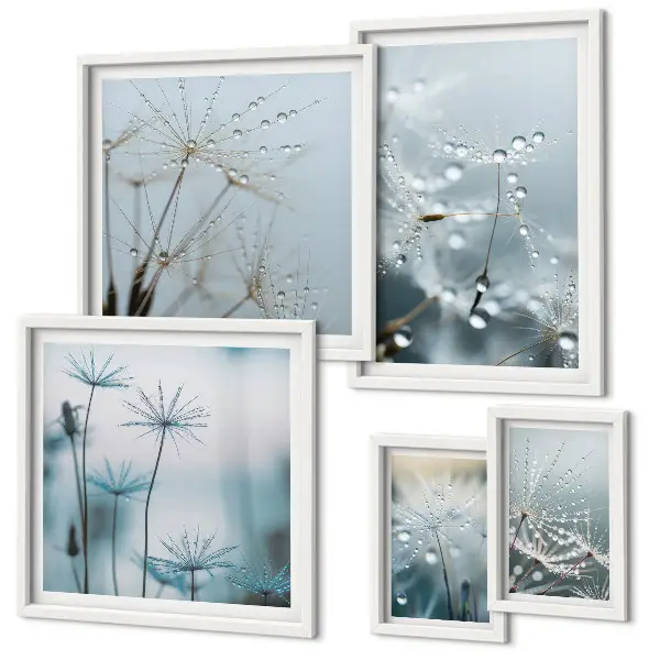 Modernes Wandbilder-Set mit Pflanzenmotiven und Wassertropfen