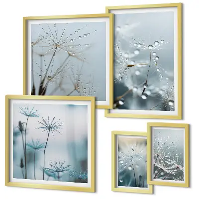 Modernes Wandbilder-Set mit Pflanzenmotiven und Wassertropfen