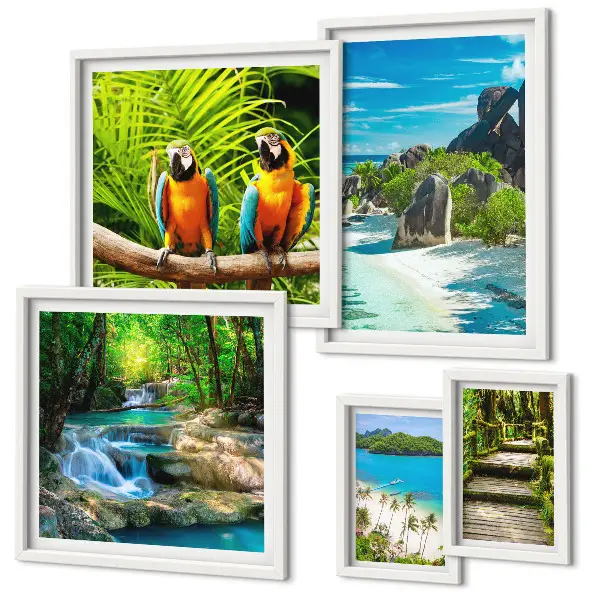 Modernes Wandbilder-Set mit tropischen Landschaften, Vögeln und Wasserfällen