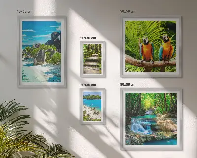 Modernes Wandbilder-Set mit tropischen Landschaften, Vögeln und Wasserfällen