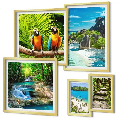 Modernes Wandbilder-Set mit tropischen Landschaften, Vögeln und Wasserfällen