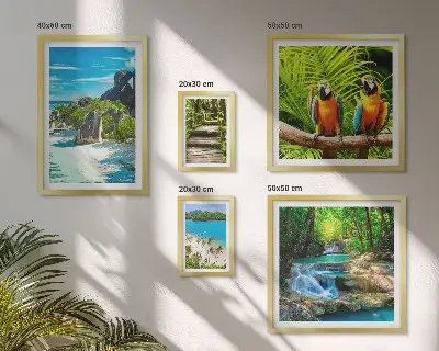 Modernes Wandbilder-Set mit tropischen Landschaften, Vögeln und Wasserfällen