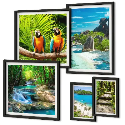 Modernes Wandbilder-Set mit tropischen Landschaften, Vögeln und Wasserfällen