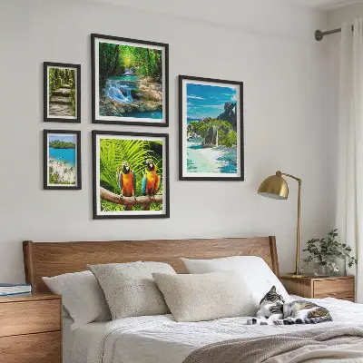 Modernes Wandbilder-Set mit tropischen Landschaften, Vögeln und Wasserfällen