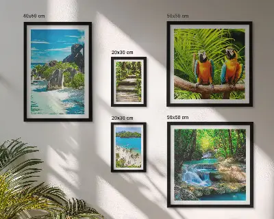 Modernes Wandbilder-Set mit tropischen Landschaften, Vögeln und Wasserfällen