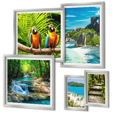 Modernes Wandbilder-Set mit tropischen Landschaften, Vögeln und Wasserfällen