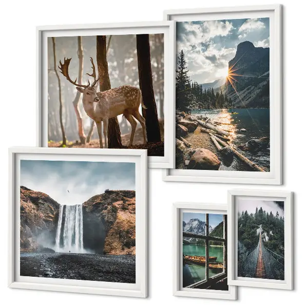 Modernes Wandbilder-Set mit Motiven aus Landschaften, Natur, Wasserfällen und Fauna