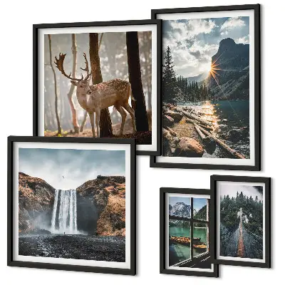 Modernes Wandbilder-Set mit Motiven aus Landschaften, Natur, Wasserfällen und Fauna