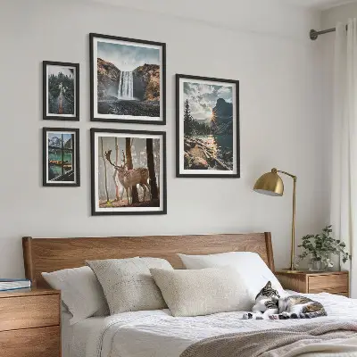 Modernes Wandbilder-Set mit Motiven aus Landschaften, Natur, Wasserfällen und Fauna