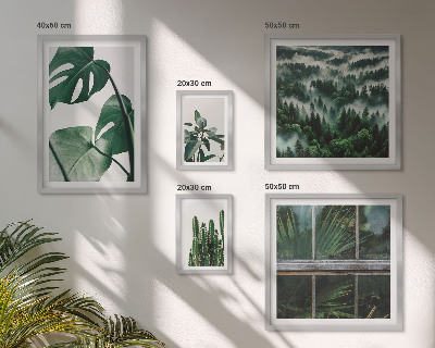 Bildergalerie-set für die wand Pflanzeninspirationen aus den Tropen
