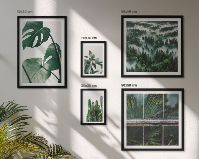 Bildergalerie-set für die wand Pflanzeninspirationen aus den Tropen
