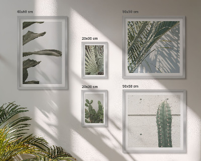 Bildergalerie-set für die wand Moderne Pflanzenakzente