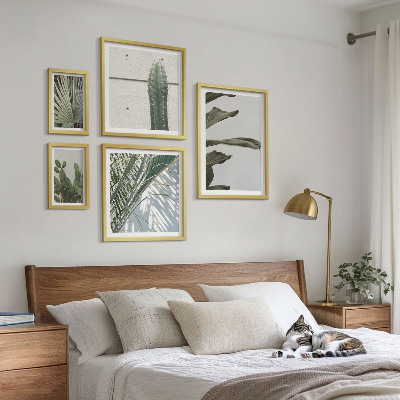 Bildergalerie-set für die wand Moderne Pflanzenakzente