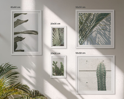 Bildergalerie-set für die wand Moderne Pflanzenakzente