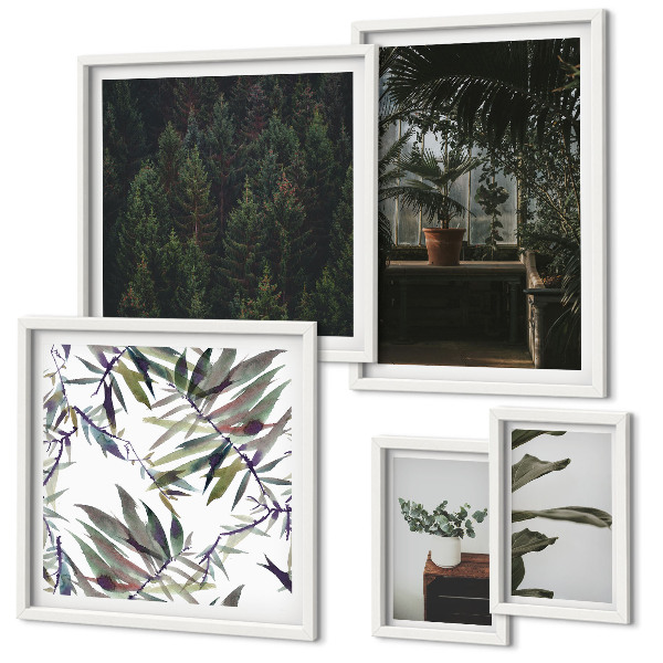 Bildergalerie-set für die wand Pflanzenmotive grüner Oasen