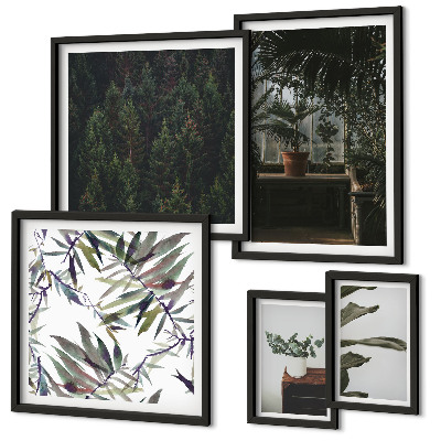 Bildergalerie-set für die wand Pflanzenmotive grüner Oasen