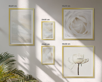 Bilderset fürs sofa Florale Inspirationen in Weiß