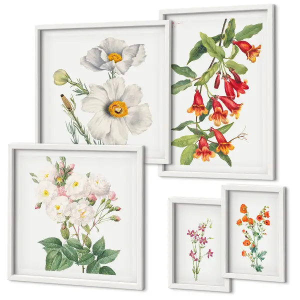 Modernes Wandbilder-Set mit botanischen Blumenillustrationen