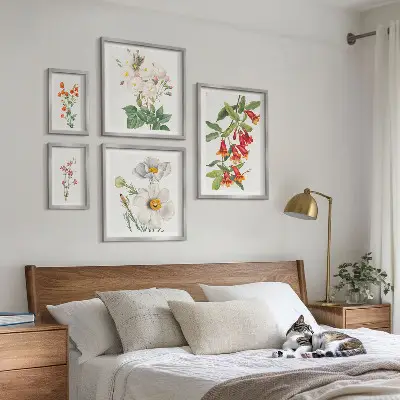 Modernes Wandbilder-Set mit botanischen Blumenillustrationen