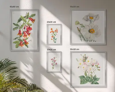 Modernes Wandbilder-Set mit botanischen Blumenillustrationen