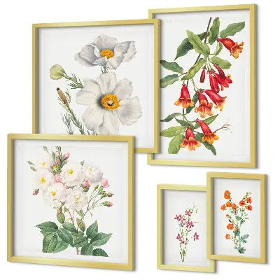 Modernes Wandbilder-Set mit botanischen Blumenillustrationen