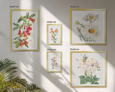 Modernes Wandbilder-Set mit botanischen Blumenillustrationen