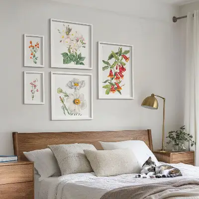 Modernes Wandbilder-Set mit botanischen Blumenillustrationen