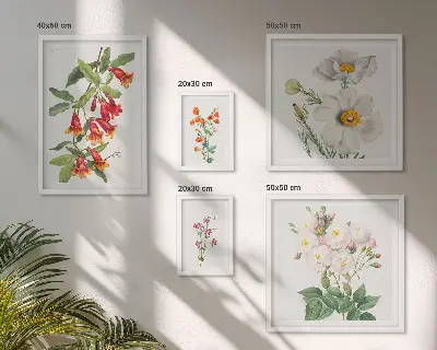 Modernes Wandbilder-Set mit botanischen Blumenillustrationen