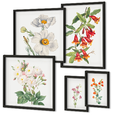 Modernes wandbilder-set Blumenbotanische Illustrationen
