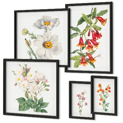 Modernes Wandbilder-Set mit botanischen Blumenillustrationen
