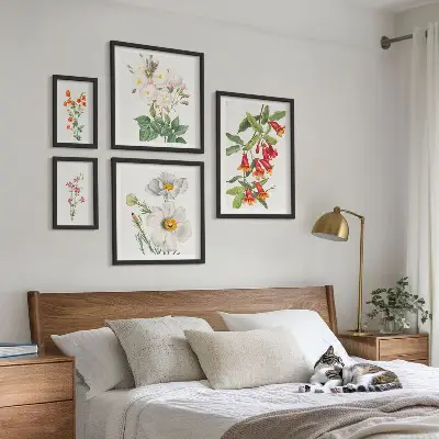 Modernes Wandbilder-Set mit botanischen Blumenillustrationen