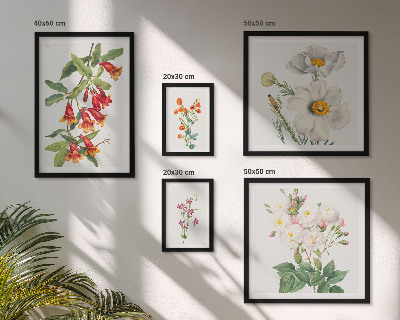Modernes wandbilder-set Blumenbotanische Illustrationen