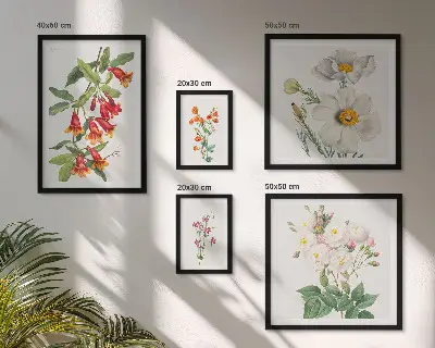 Modernes Wandbilder-Set mit botanischen Blumenillustrationen