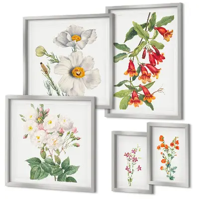 Modernes Wandbilder-Set mit botanischen Blumenillustrationen