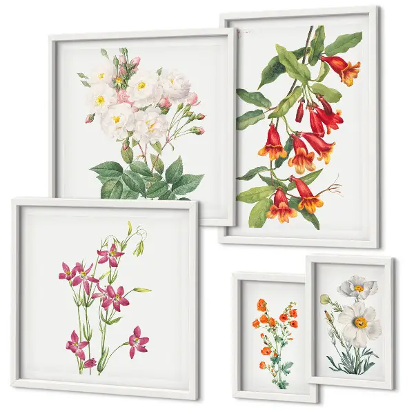 Bilderset fürs Sofa mit floralen botanischen Motiven