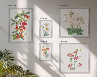Bilderset fürs sofa Florale botanische Motive