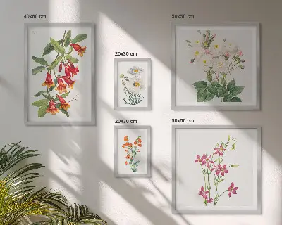 Bilderset fürs Sofa mit floralen botanischen Motiven