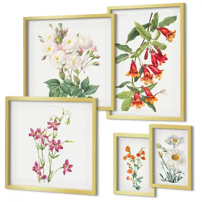 Bilderset fürs Sofa mit floralen botanischen Motiven
