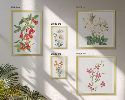 Bilderset fürs sofa Florale botanische Motive