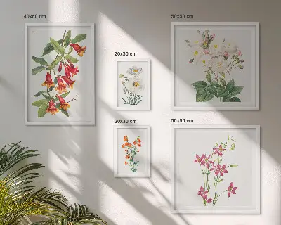 Bilderset fürs Sofa mit floralen botanischen Motiven