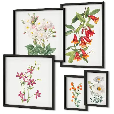 Bilderset fürs Sofa mit floralen botanischen Motiven