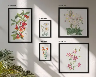 Bilderset fürs Sofa mit floralen botanischen Motiven