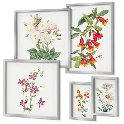 Bilderset fürs Sofa mit floralen botanischen Motiven