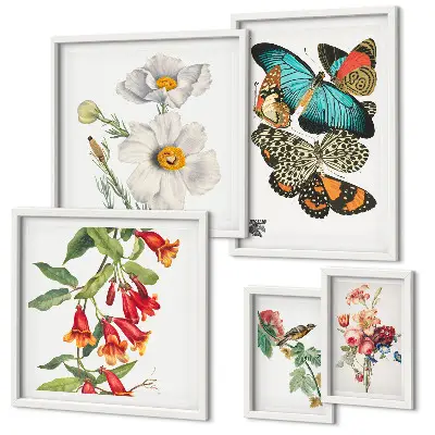 Bildergalerie-Set für die Wand mit Motiven von Blumen, Schmetterlingen und Vögeln im Vintage-Stil