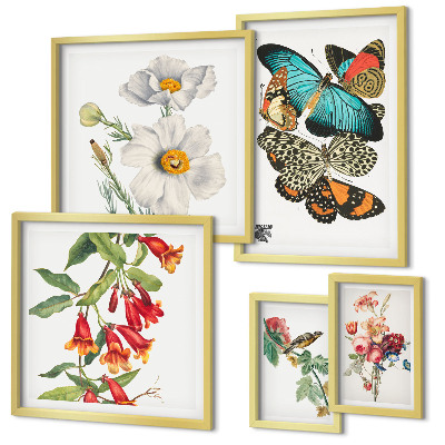 Bildergalerie-set für die wand Blumen, Schmetterlinge, Vögel, Vintage-Dekorationen