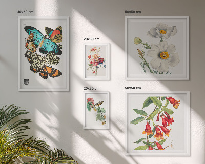 Bildergalerie-set für die wand Blumen, Schmetterlinge, Vögel, Vintage-Dekorationen